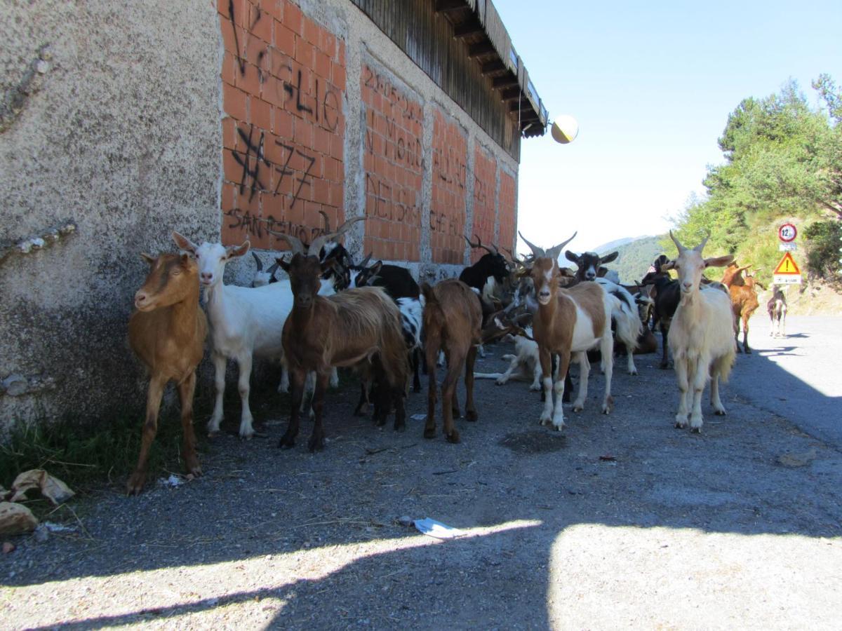 Villa Nostro Rifugio Apricale Esterno foto