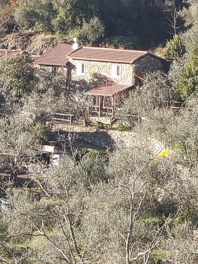 Villa Nostro Rifugio Apricale Esterno foto