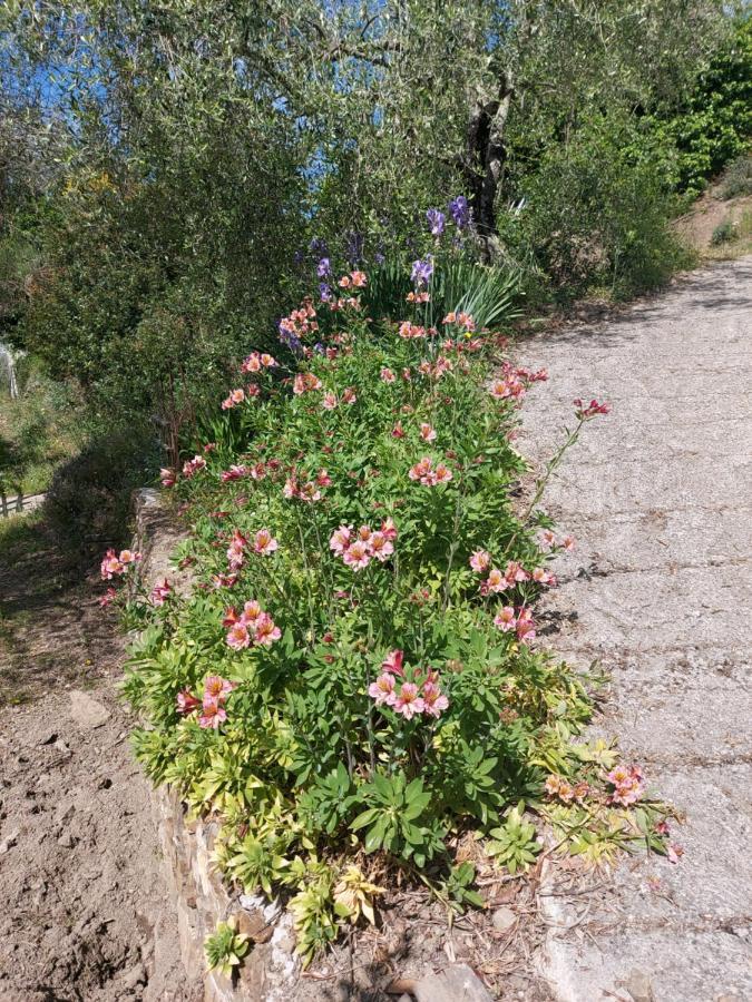 Villa Nostro Rifugio Apricale Esterno foto