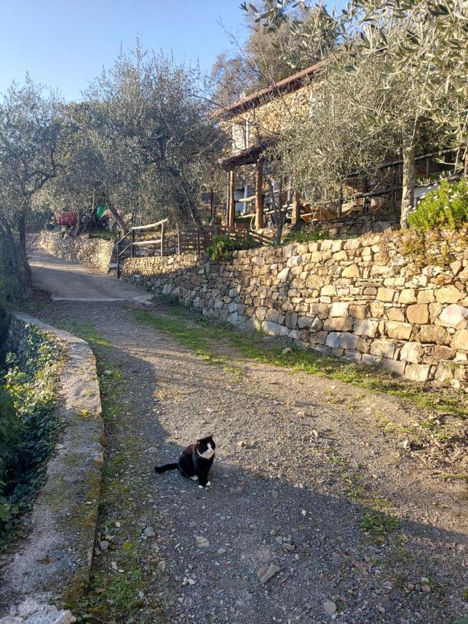 Villa Nostro Rifugio Apricale Esterno foto