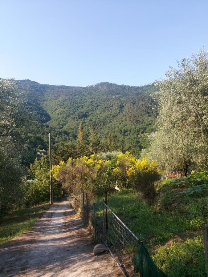 Villa Nostro Rifugio Apricale Esterno foto